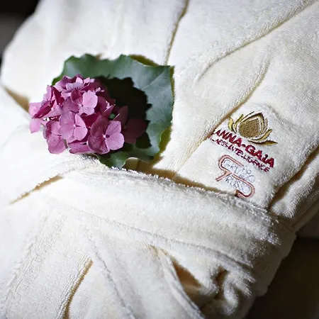 Отель Ausonia Hungaria Wellness & Lifestyle